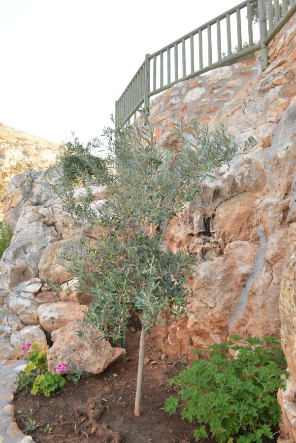 Delfinaki Boutique Apartments Lionas Beach ,Naxos Exterior foto